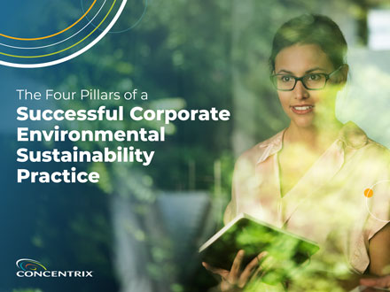 The Four Pillars of a Successful Corporate Environmental Sustainability Practice